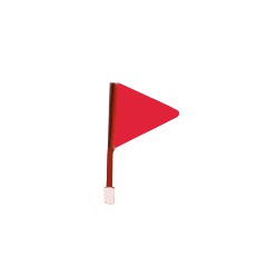 Fanions Flags